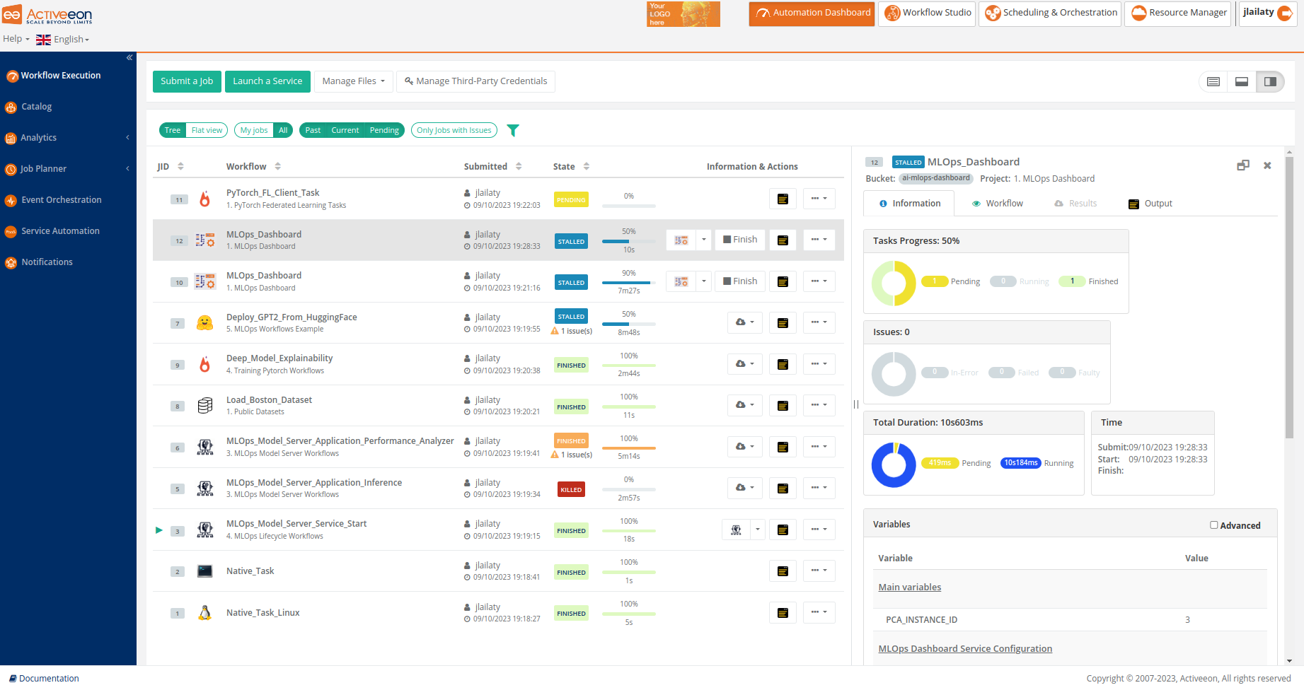 workflow execution